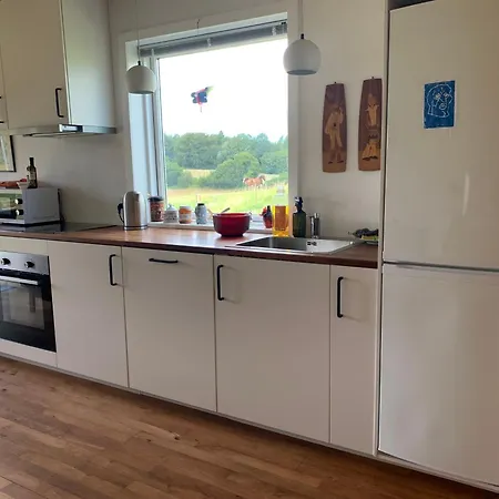Prázdninový dům Tiny House Premium Vissenbjerg